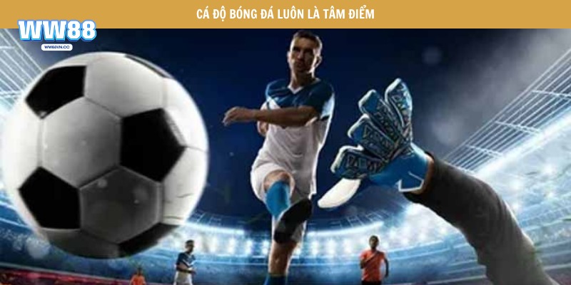 Cá độ bóng đá luôn là tâm điểm