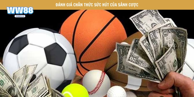 Đánh giá chân thức sức hút của sảnh cược